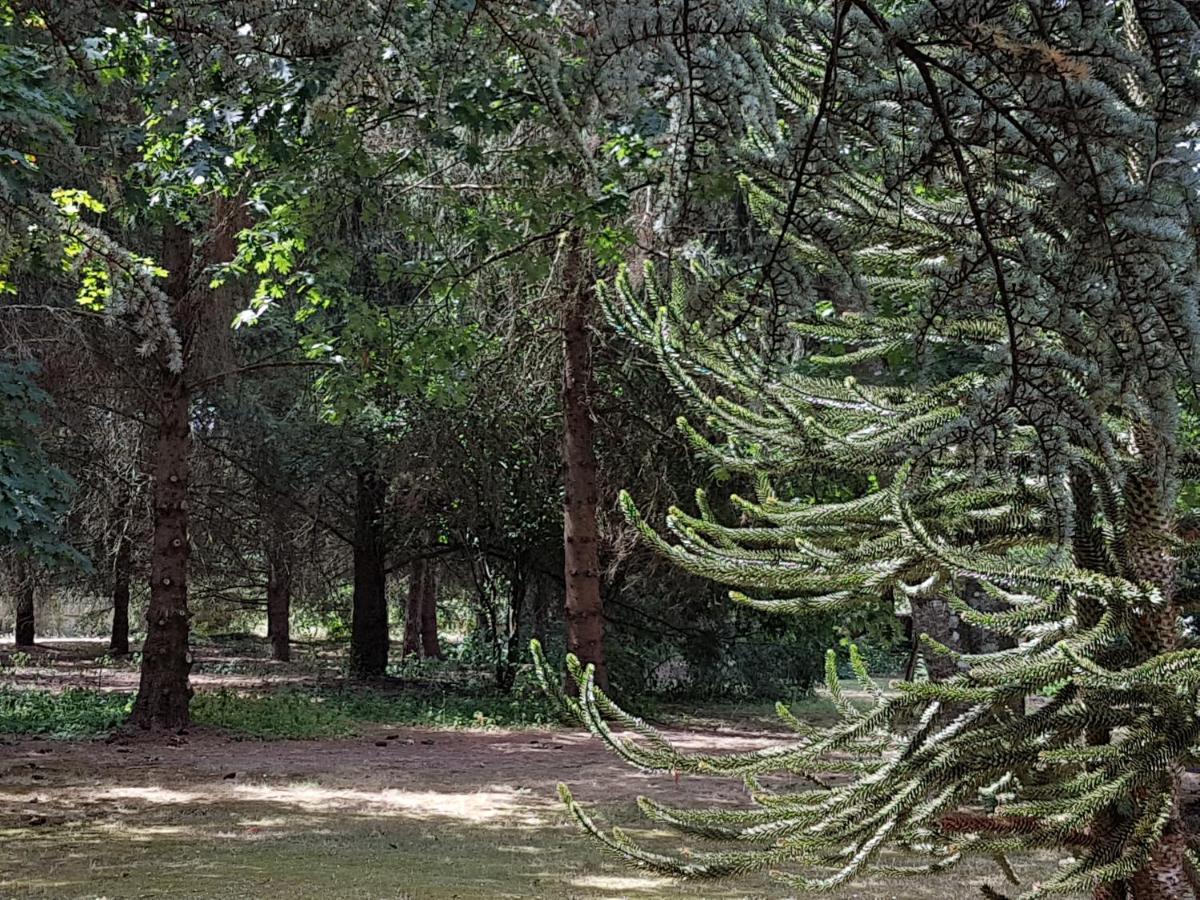 Le Clos Des Ecureuils Vouzon Екстериор снимка
