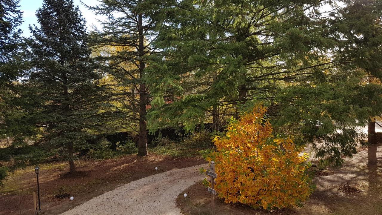 Le Clos Des Ecureuils Vouzon Екстериор снимка
