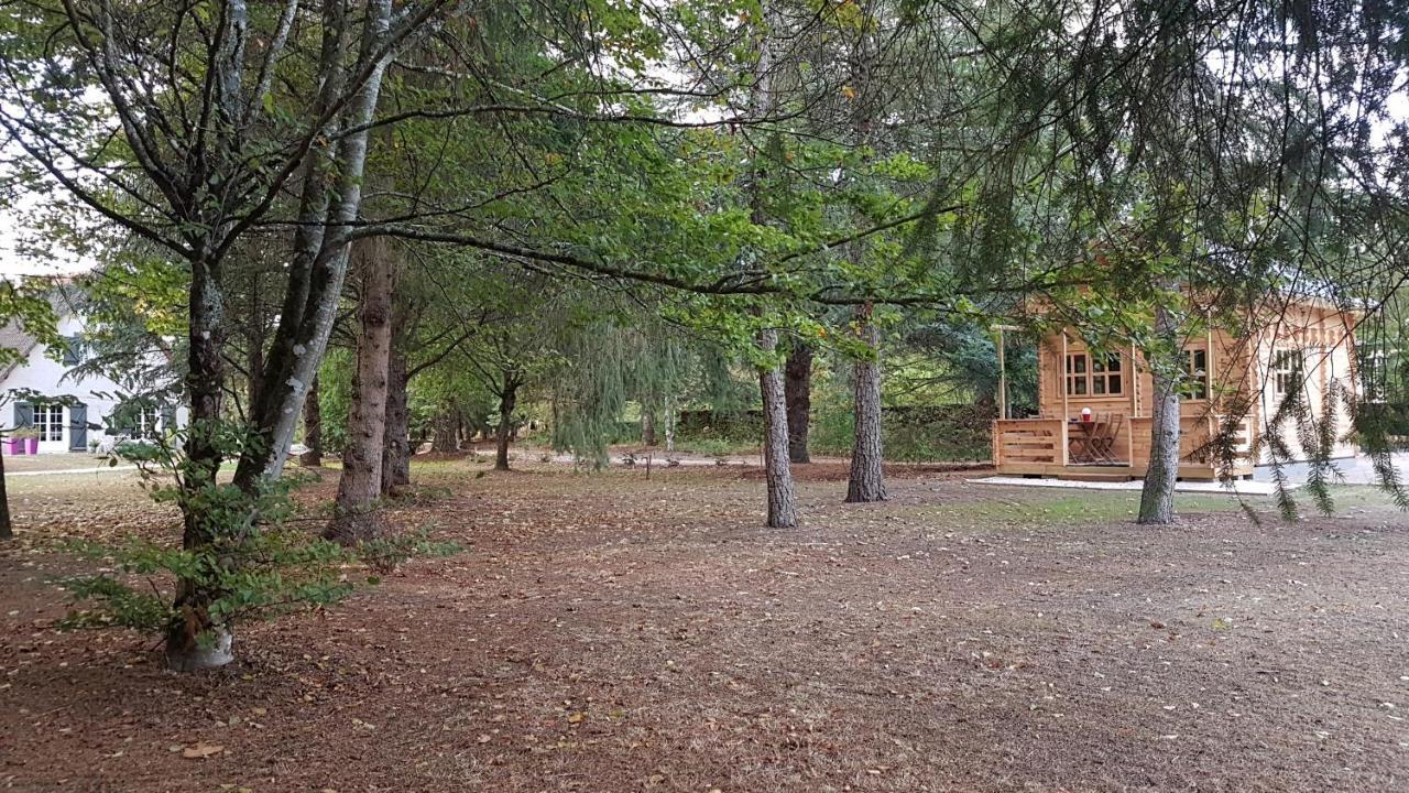 Le Clos Des Ecureuils Vouzon Екстериор снимка