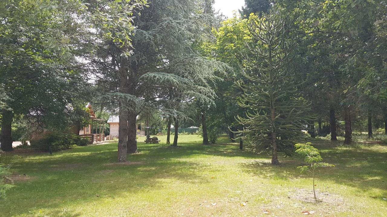 Le Clos Des Ecureuils Vouzon Екстериор снимка