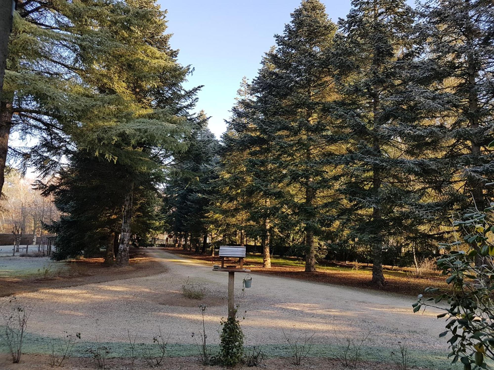 Le Clos Des Ecureuils Vouzon Екстериор снимка