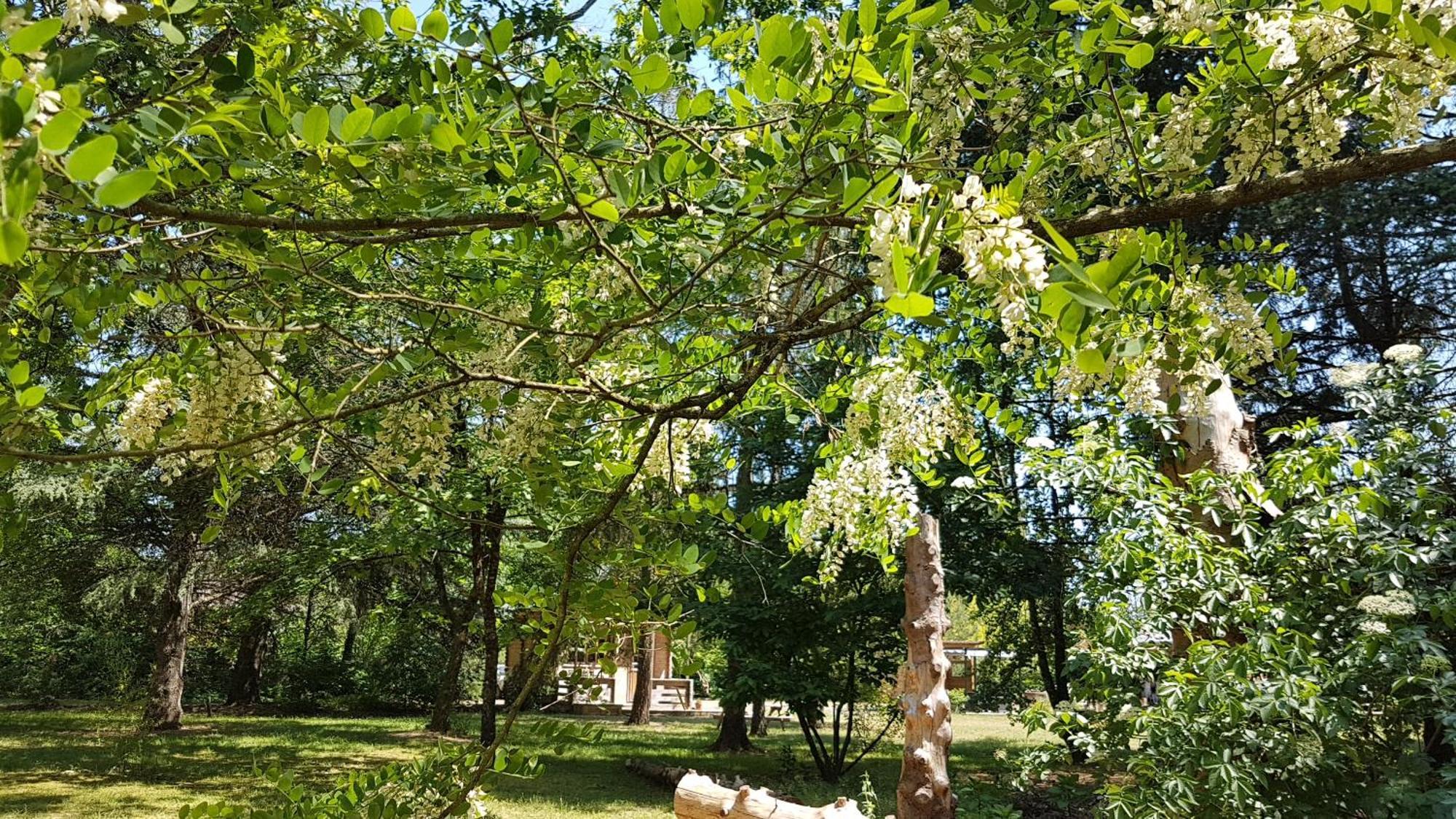 Le Clos Des Ecureuils Vouzon Екстериор снимка