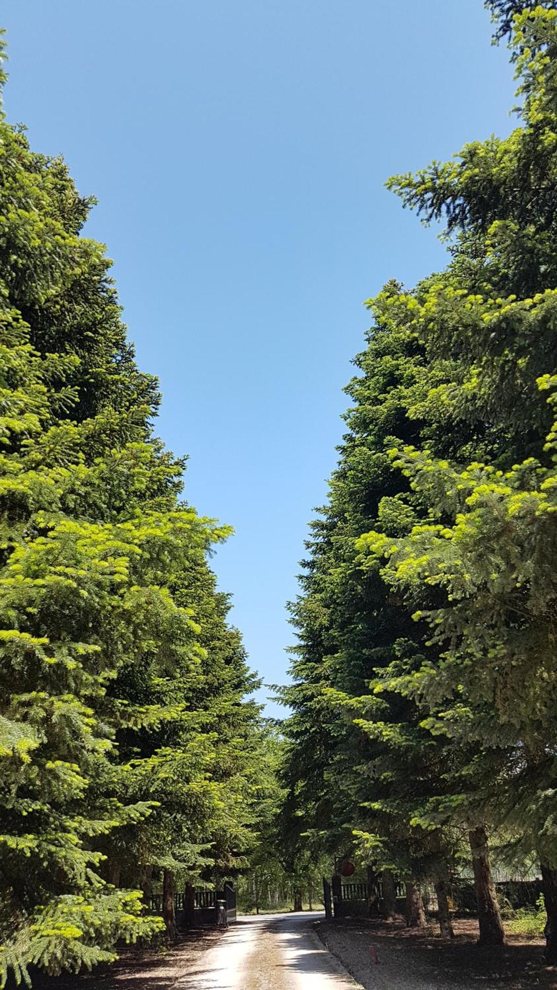 Le Clos Des Ecureuils Vouzon Екстериор снимка